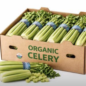 Celery