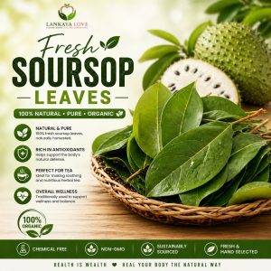 Fresh SourSop Leaves